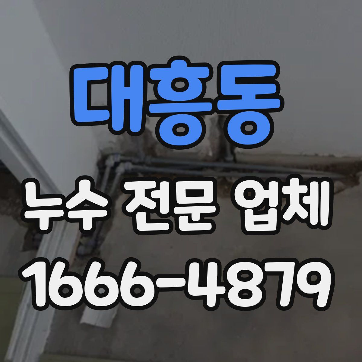 대흥동 누수 전문 업체