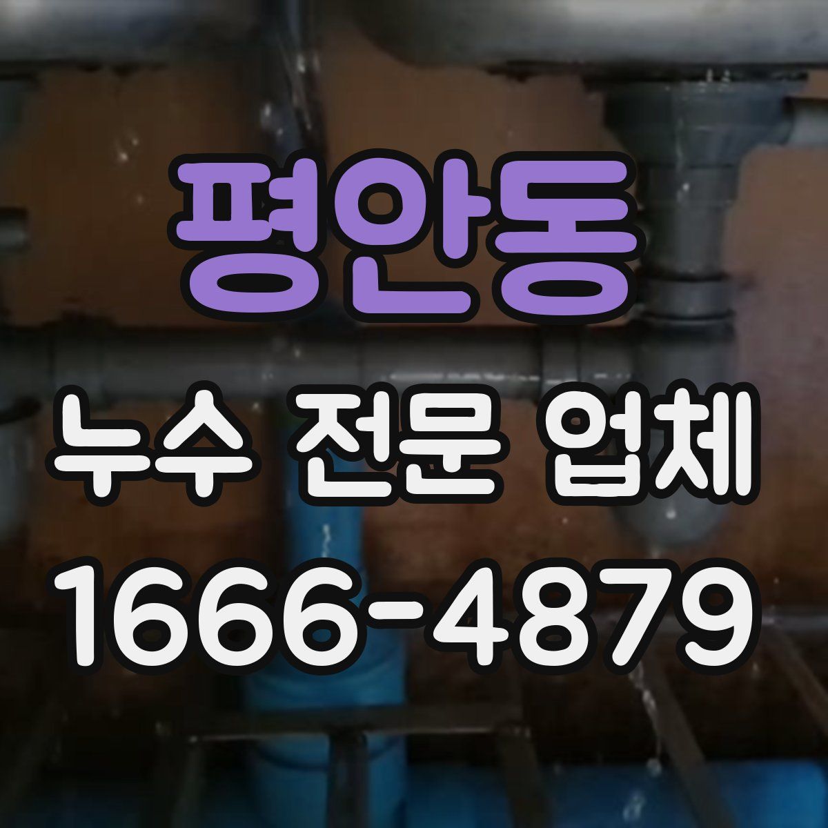 평안동 누수 전문 업체