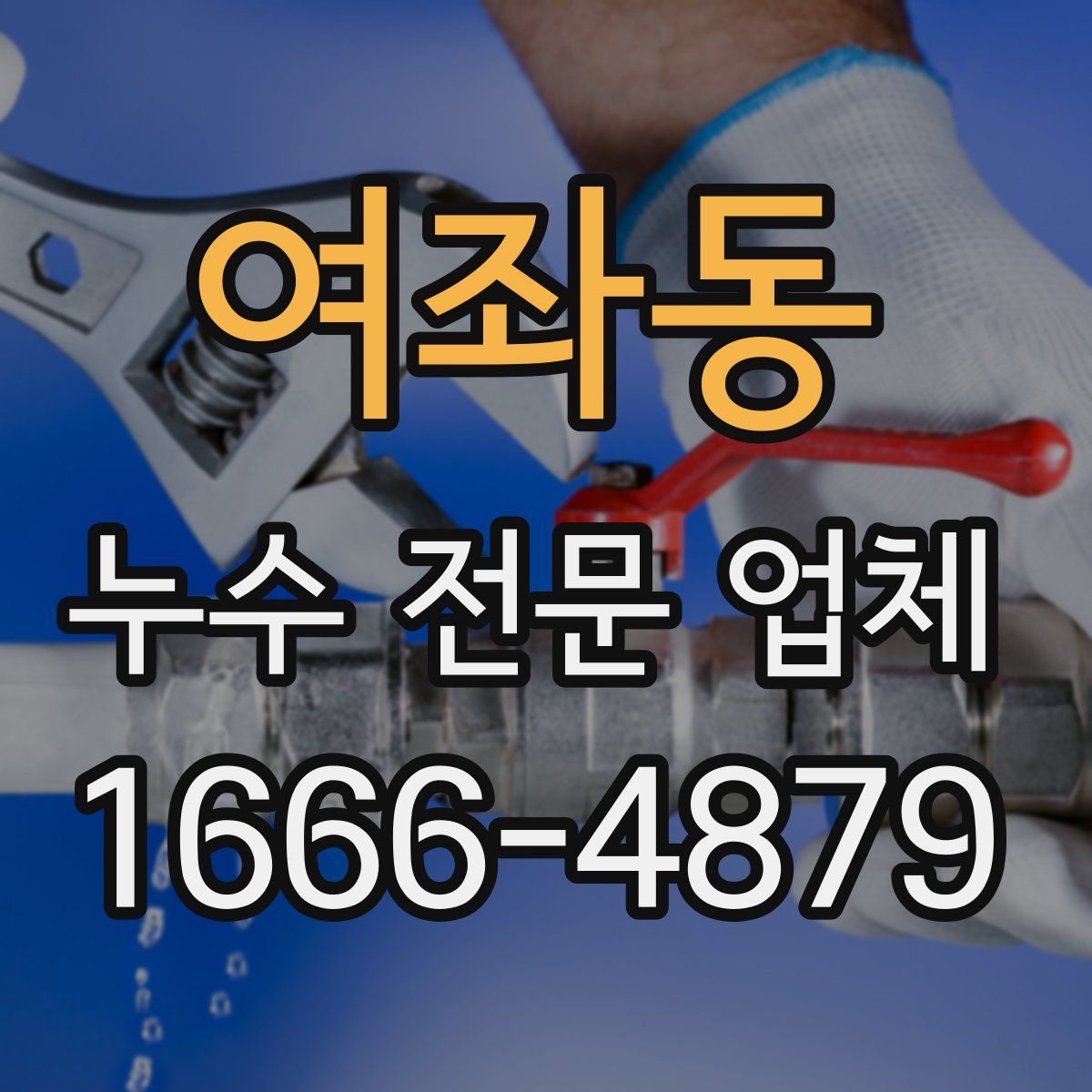 여좌동 누수 전문 업체