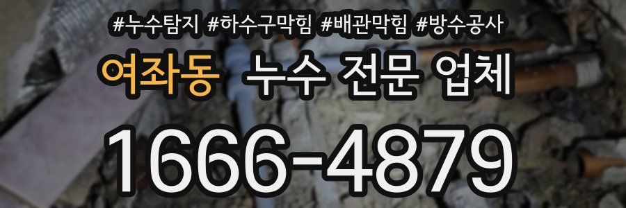 여좌동 누수 전문 업체