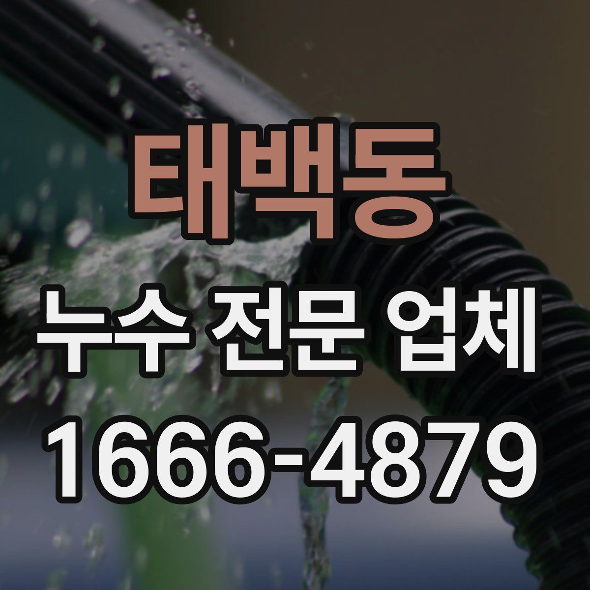 태백동 누수 전문 업체