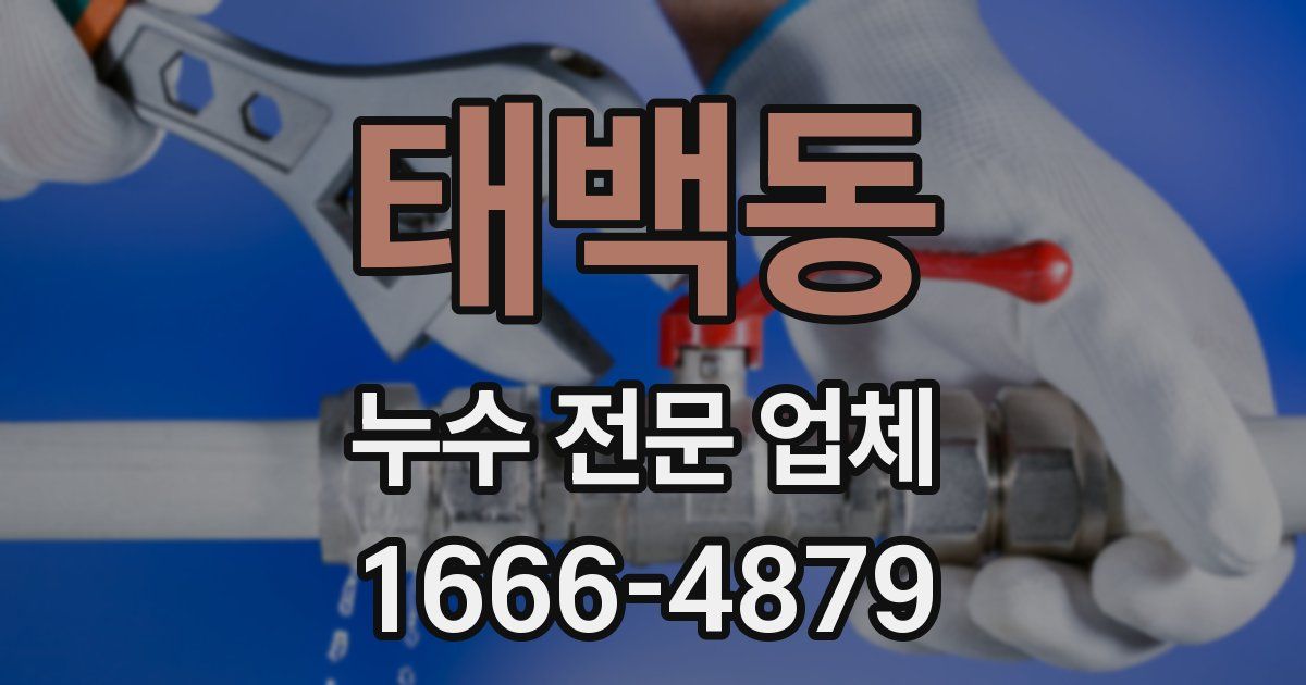 태백동 누수 전문 업체