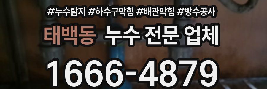 태백동 누수 전문 업체