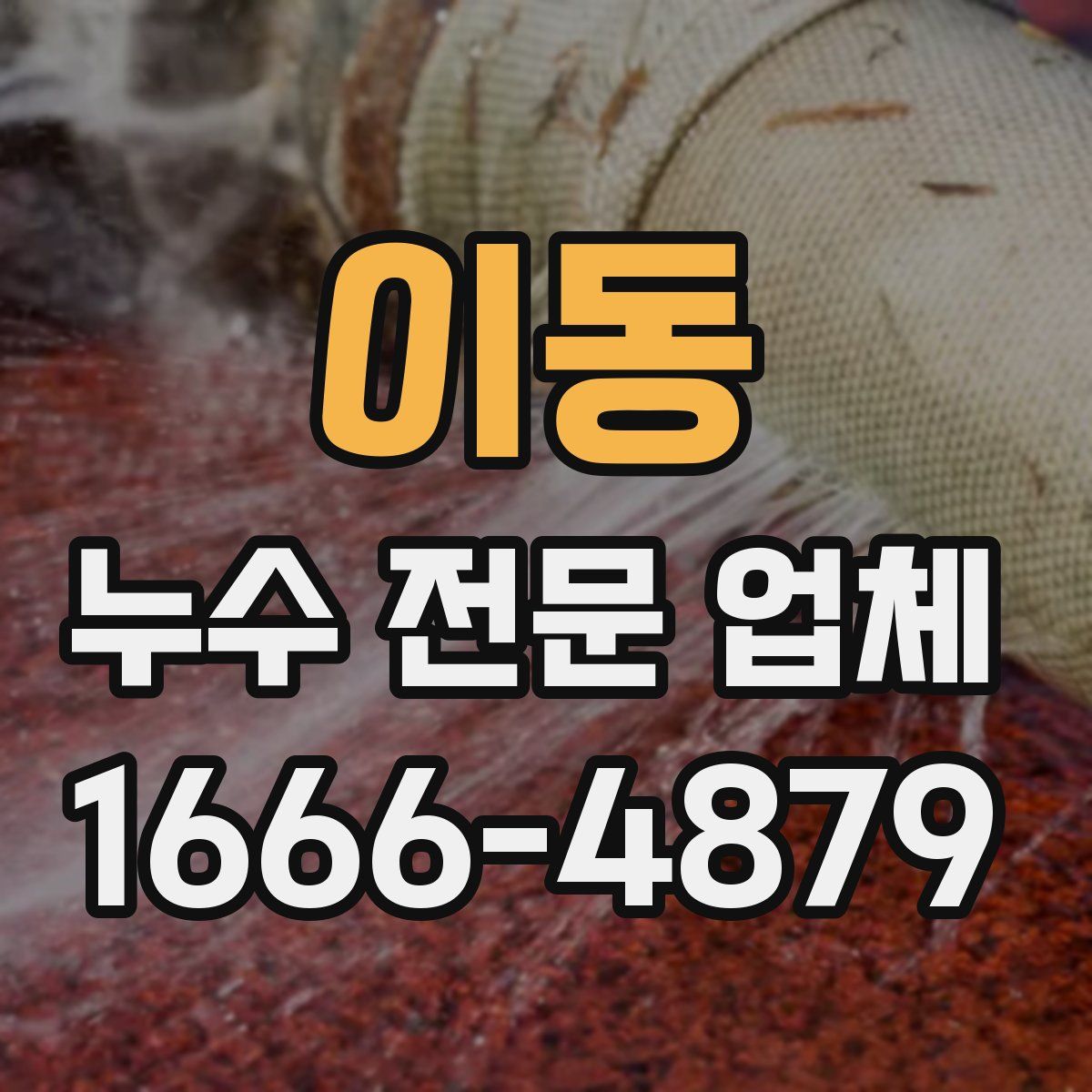 이동 누수 전문 업체