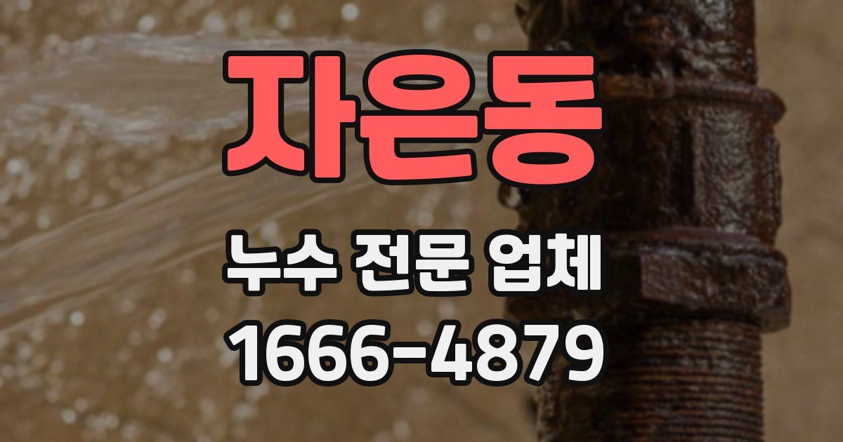 자은동 누수 전문 업체