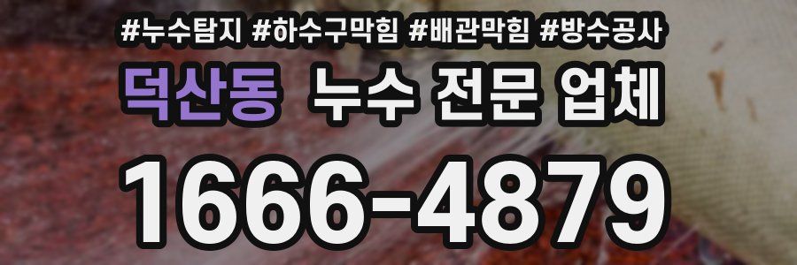 덕산동 누수 전문 업체