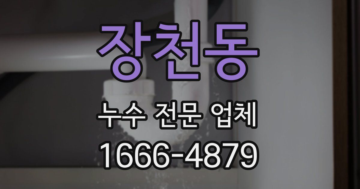 장천동 누수 전문 업체
