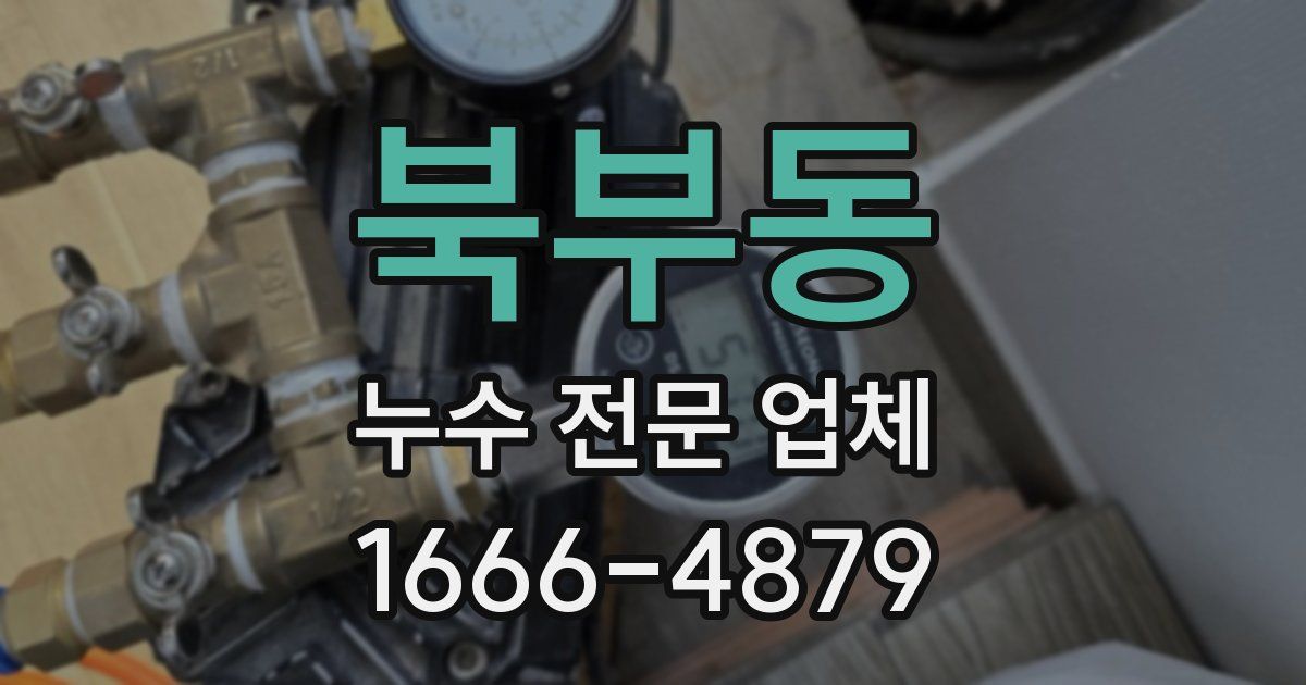 북부동 누수 전문 업체