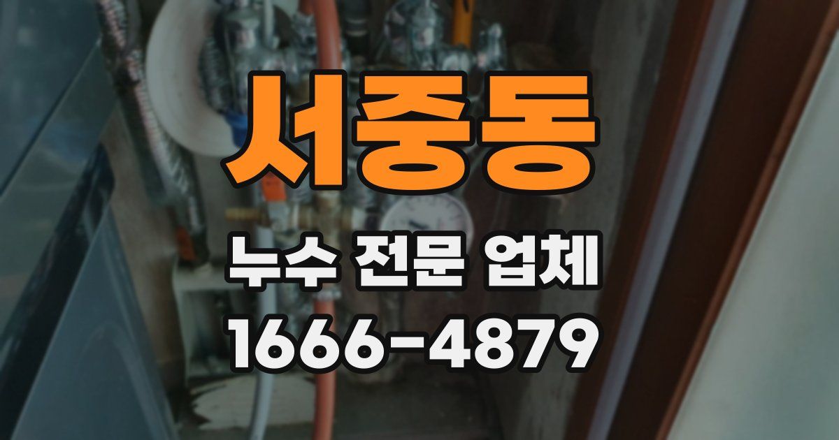 서중동 누수 전문 업체