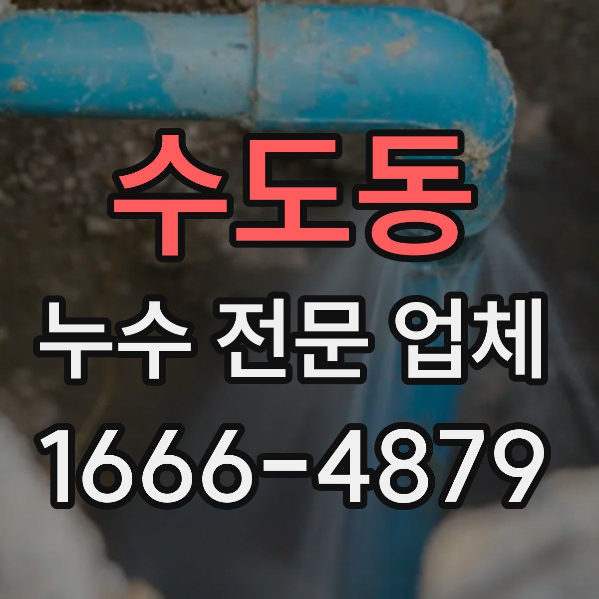 수도동 누수 전문 업체