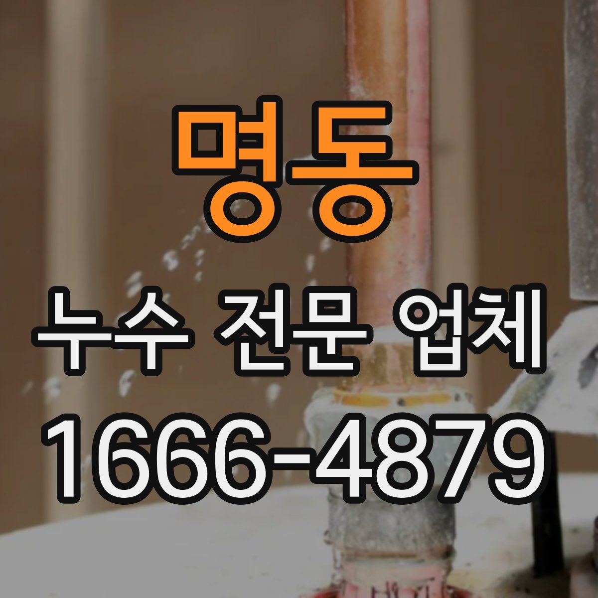명동 누수 전문 업체