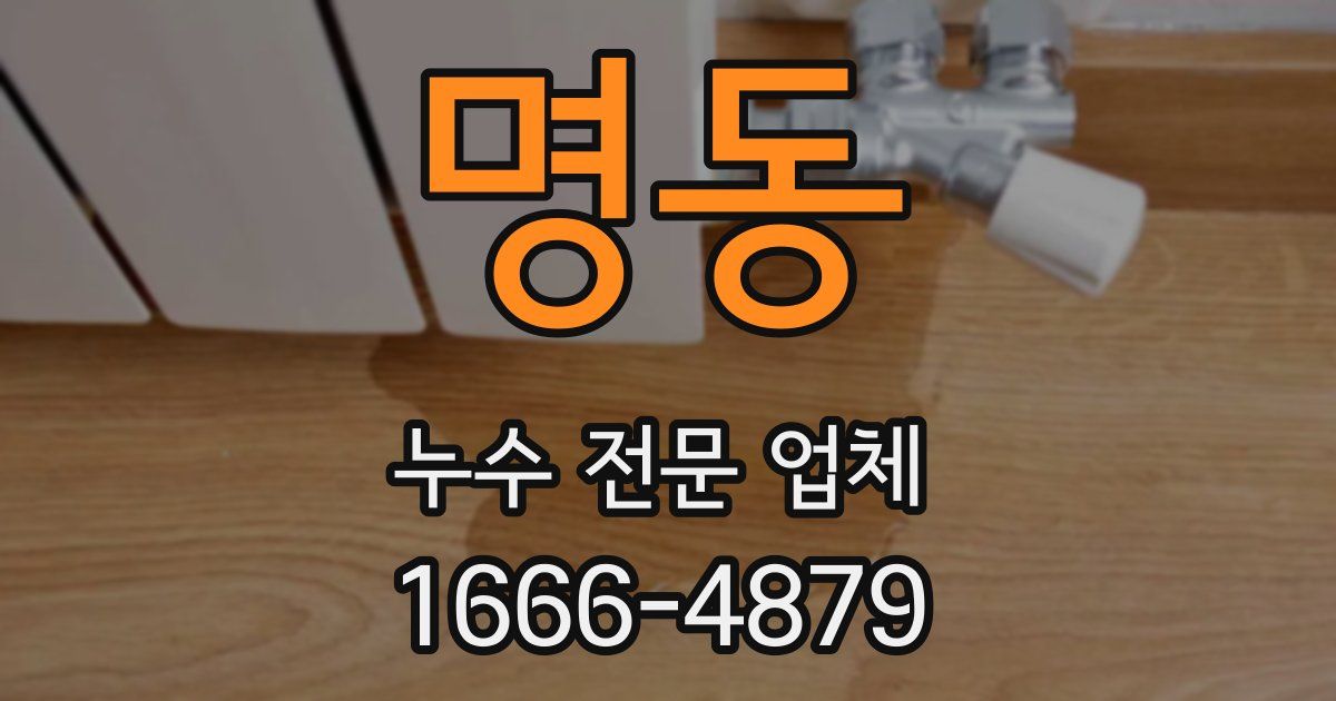 명동 누수 전문 업체