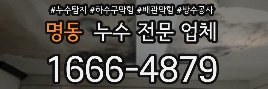 명동 누수 전문 업체