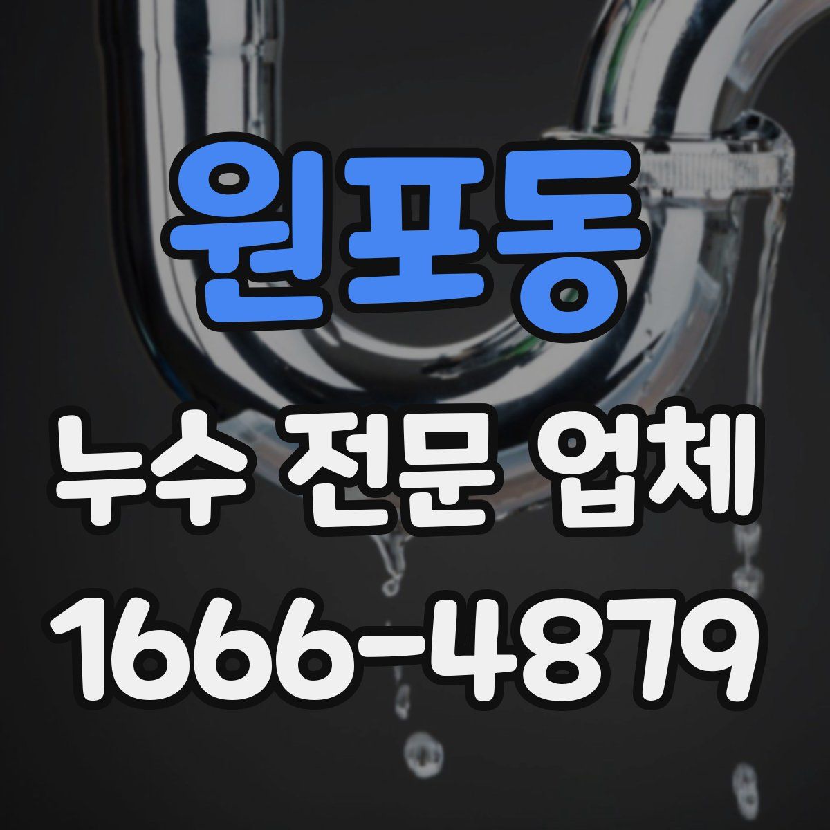 원포동 누수 전문 업체