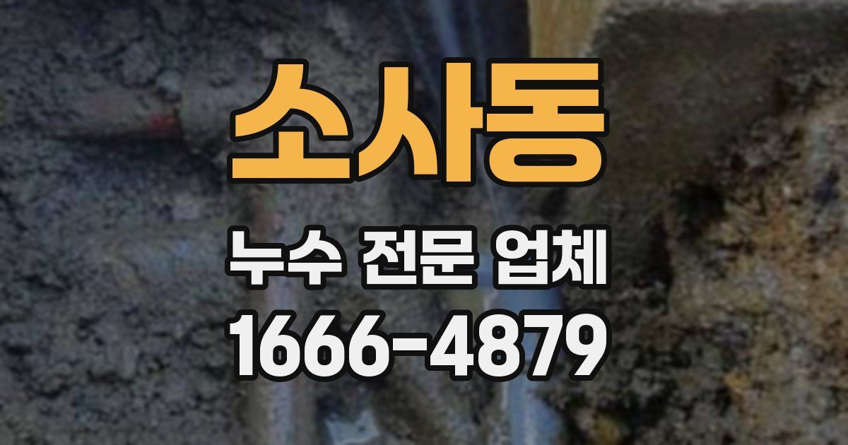 소사동 누수 전문 업체