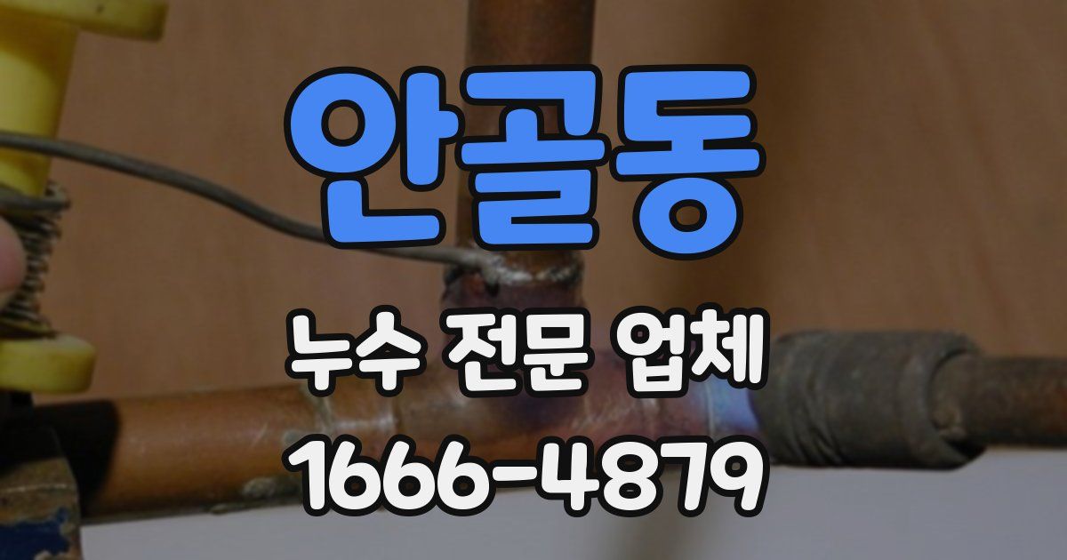 안골동 누수 전문 업체