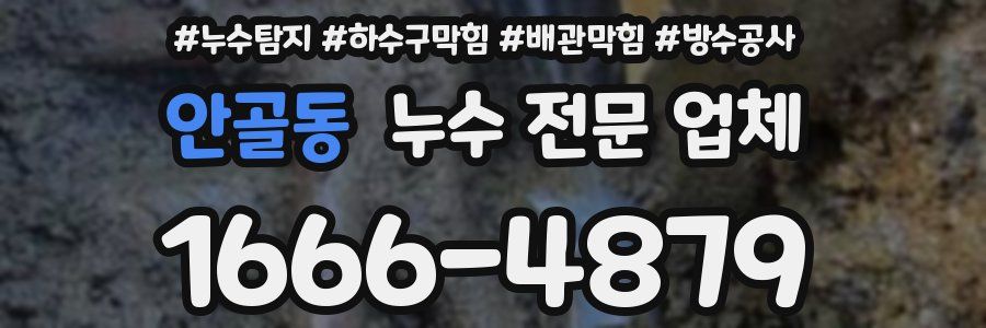 안골동 누수 전문 업체