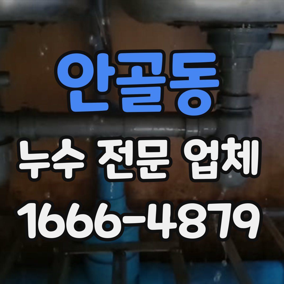 안골동 누수 전문 업체