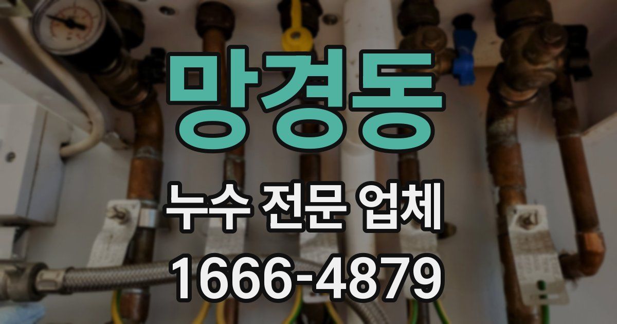 망경동 누수 전문 업체