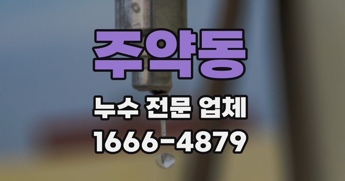 주약동 누수 전문 업체