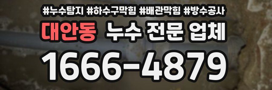 대안동 누수 전문 업체