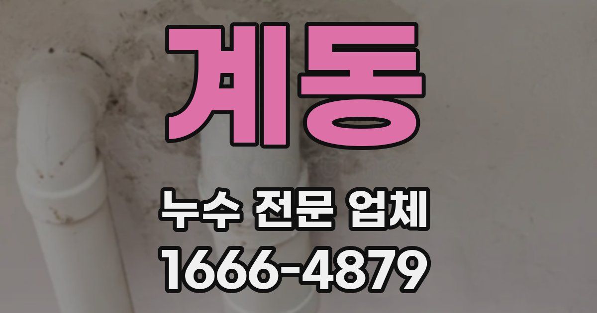 계동 누수 전문 업체