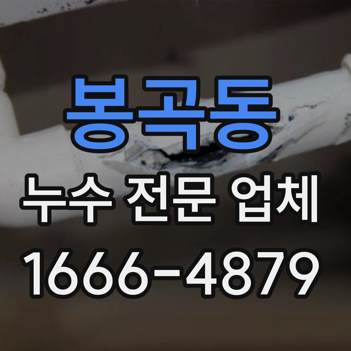봉곡동 누수 전문 업체