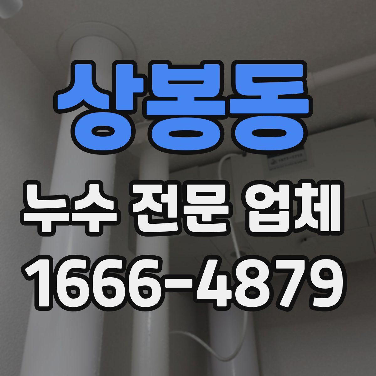 상봉동 누수 전문 업체