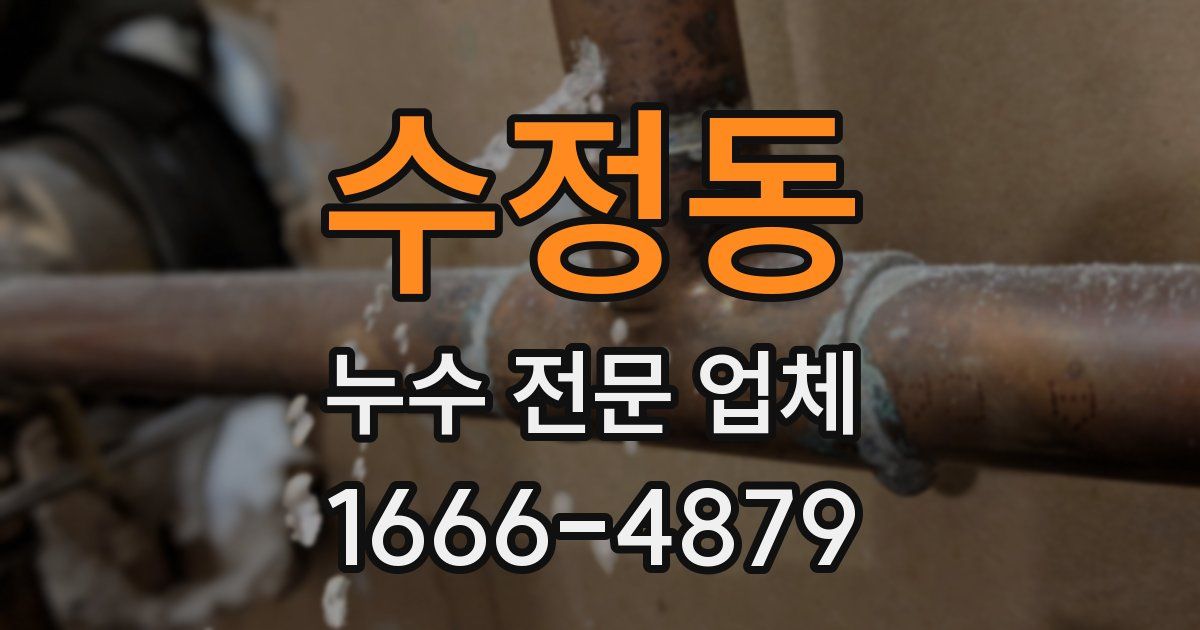수정동 누수 전문 업체