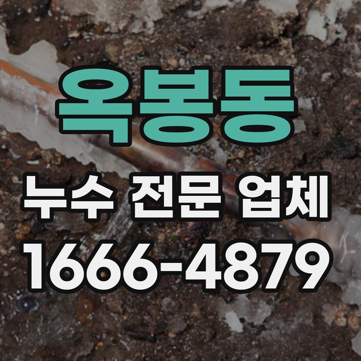 옥봉동 누수 전문 업체