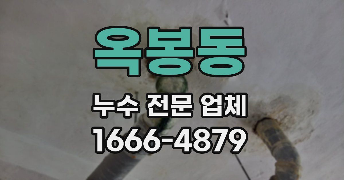 옥봉동 누수 전문 업체