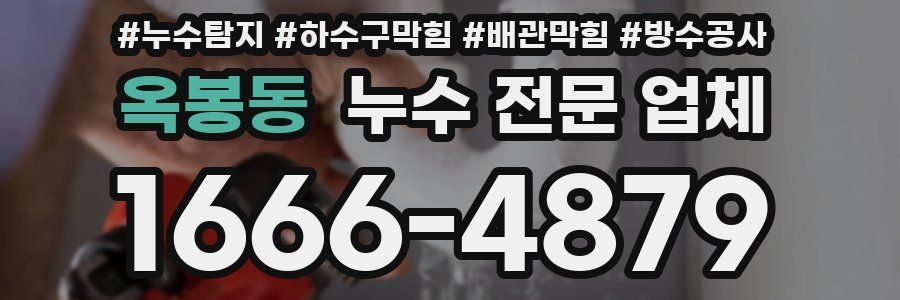옥봉동 누수 전문 업체