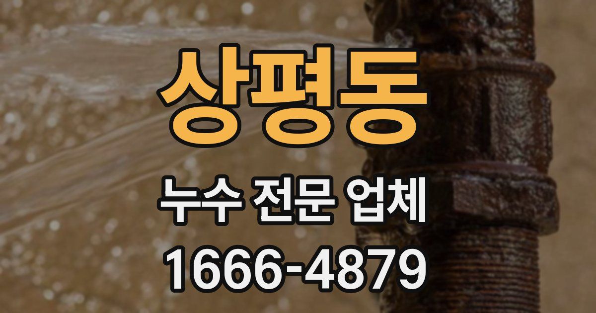 상평동 누수 전문 업체