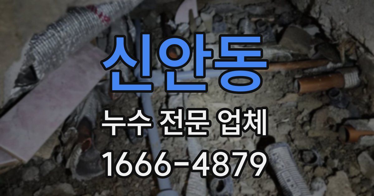 신안동 누수 전문 업체