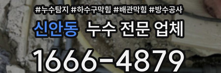 신안동 누수 전문 업체