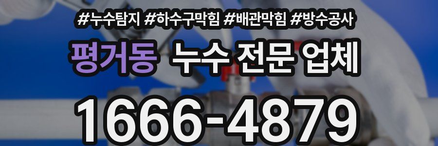 평거동 누수 전문 업체