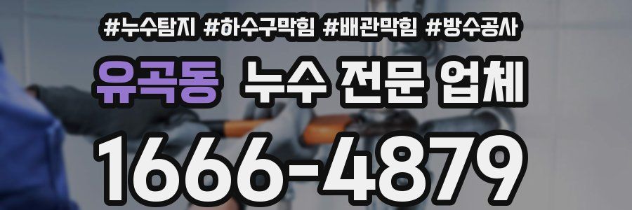 유곡동 누수 전문 업체