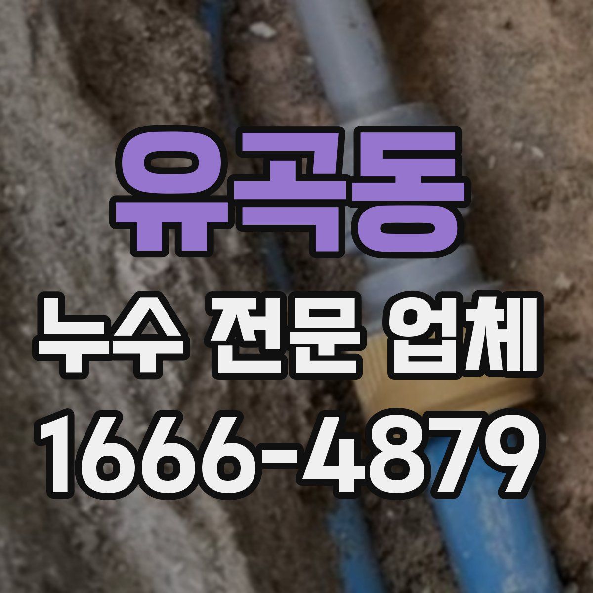 유곡동 누수 전문 업체