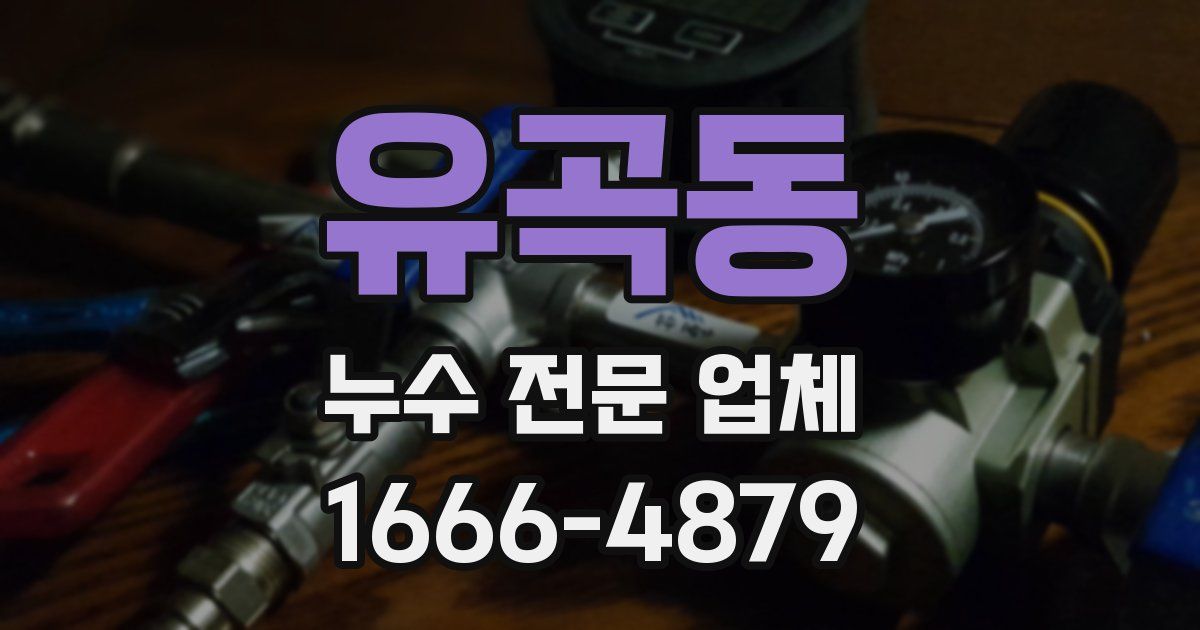 유곡동 누수 전문 업체