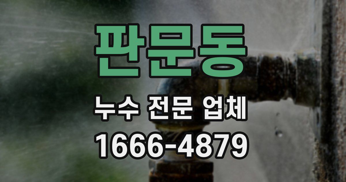 판문동 누수 전문 업체