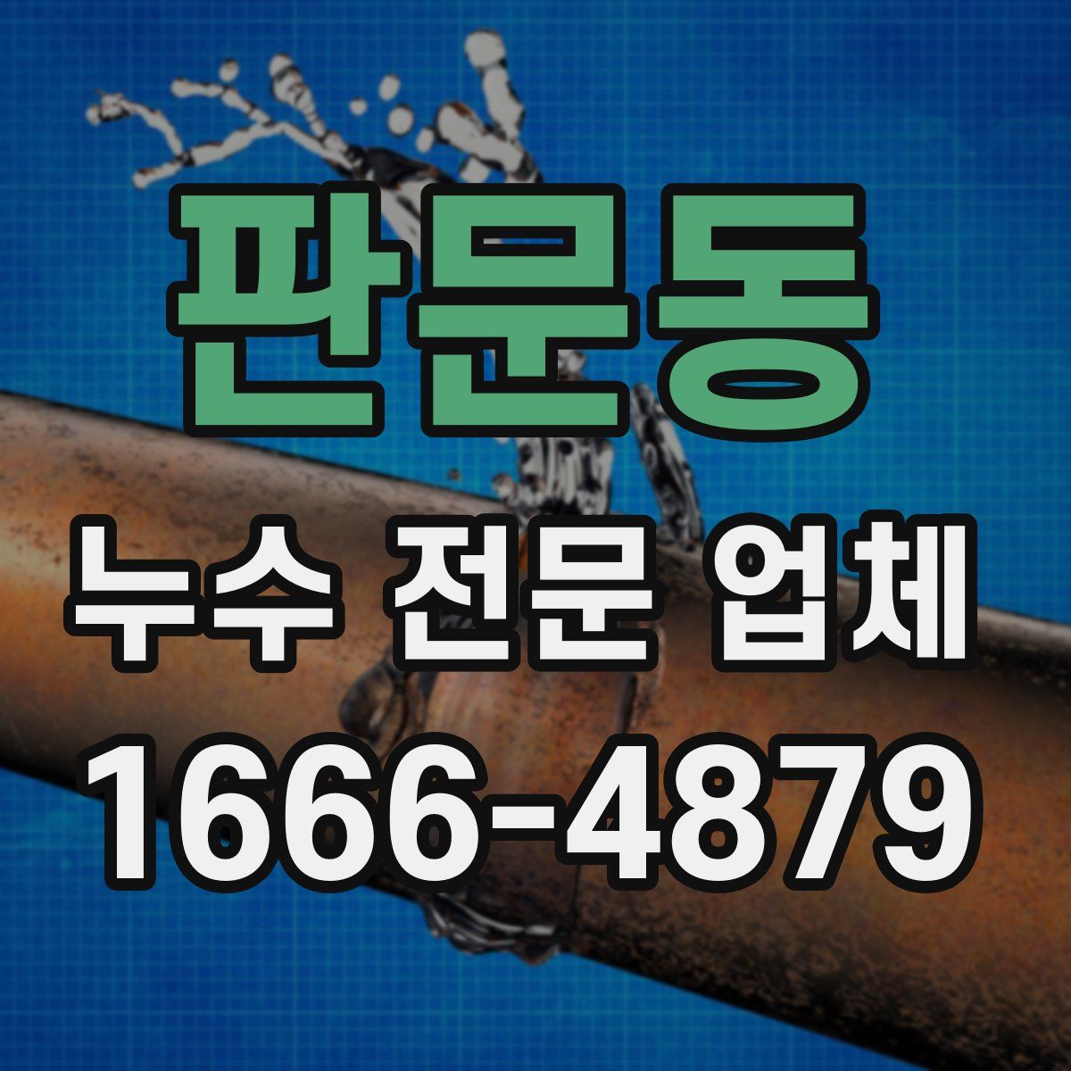 판문동 누수 전문 업체
