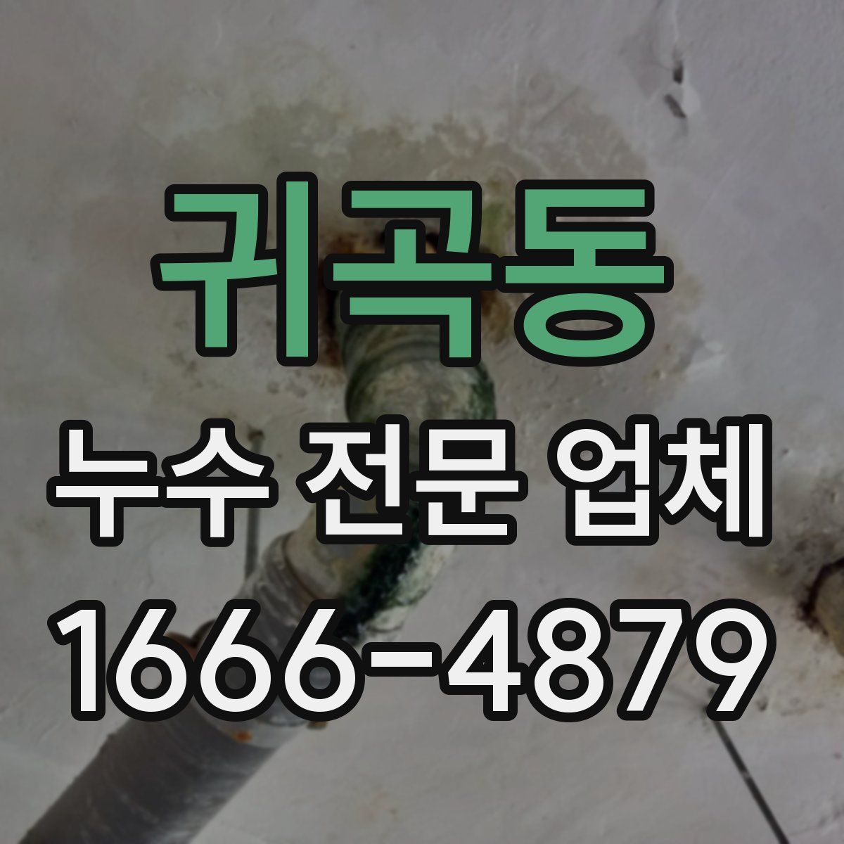 귀곡동 누수 전문 업체