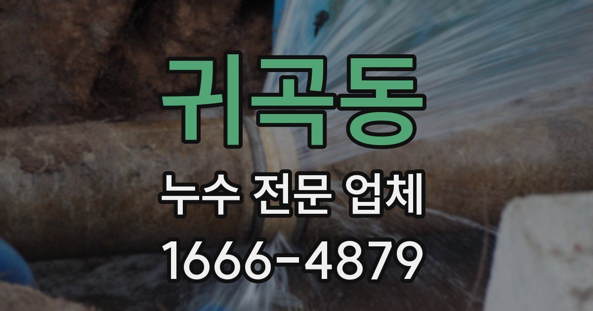 귀곡동 누수 전문 업체