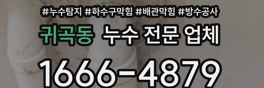 귀곡동 누수 전문 업체