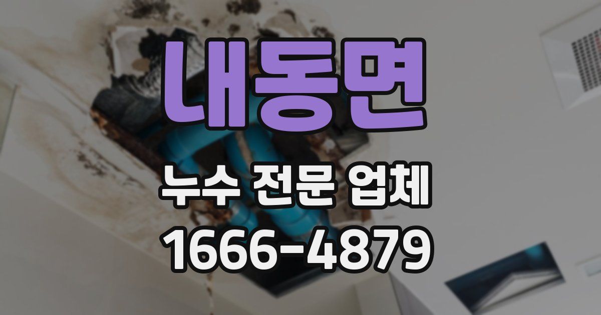내동면 누수 전문 업체