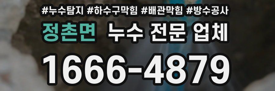 정촌면 누수 전문 업체