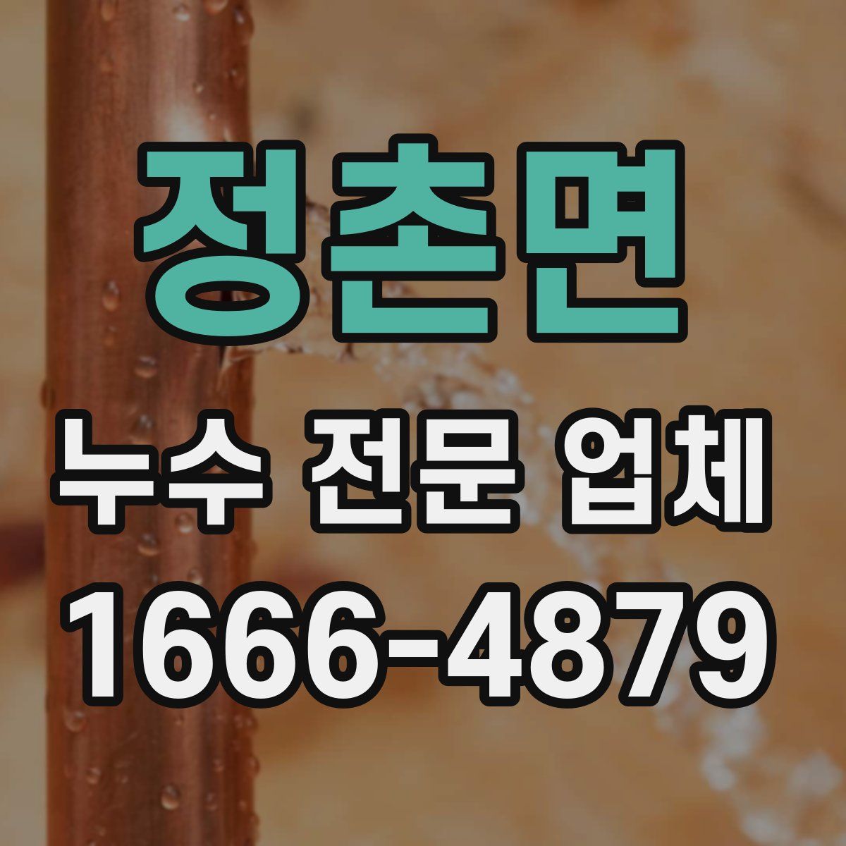 정촌면 누수 전문 업체
