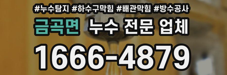 금곡면 누수 전문 업체