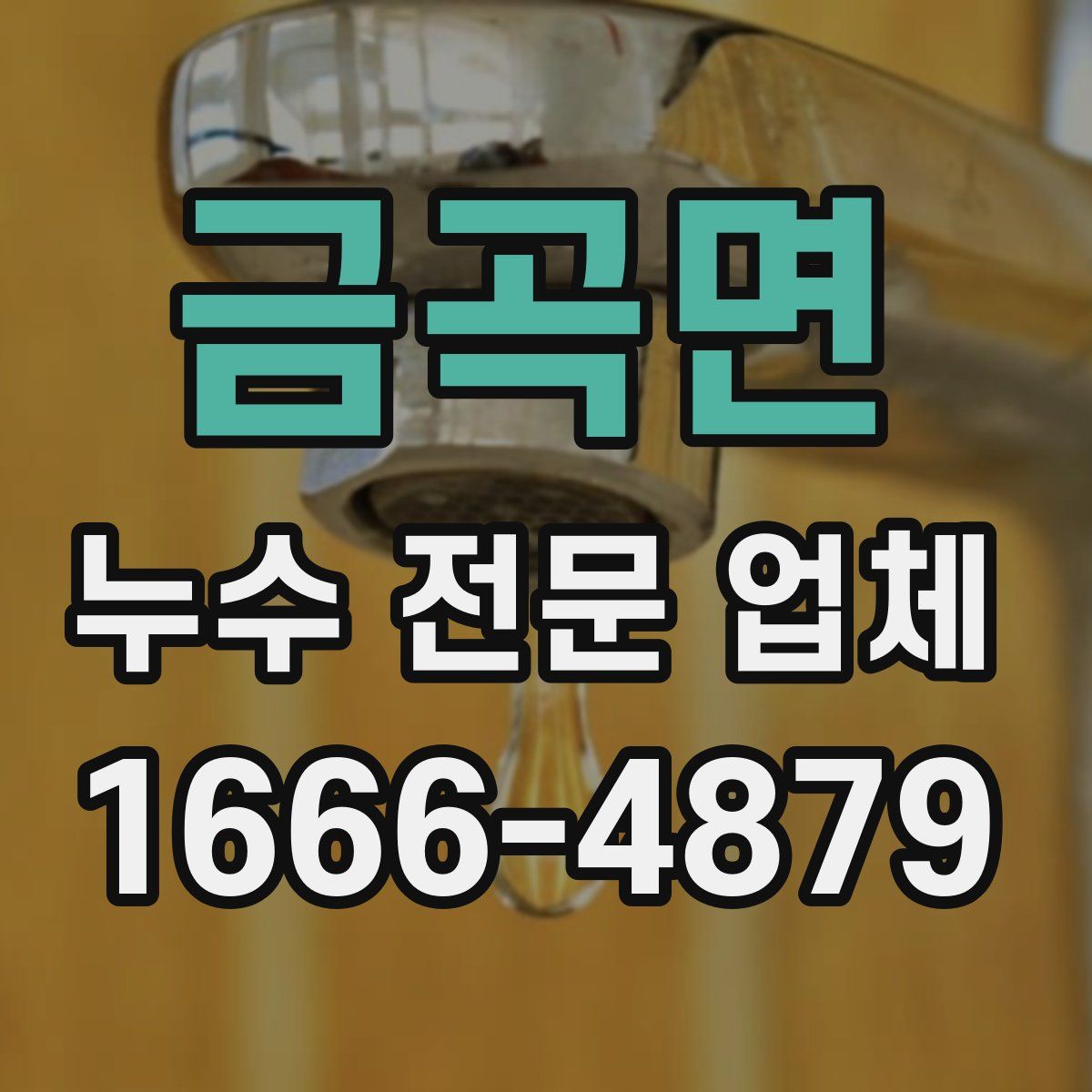 금곡면 누수 전문 업체