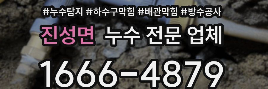 진성면 누수 전문 업체